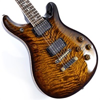 McCarty 594 Mango Limited Edition (Black Gold Burst) SN.0421223 [2026年生産品]
