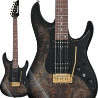 【6月11日入荷予定】 Premium AZ41P1PB-TGB (Transparent Gray Burst)