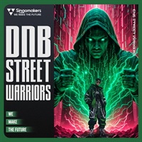DNB STREET WARRIORS (ドラムンベース)(ストリートウォーリアーズ)(サンプルパック)(Serumサンプル)(オンライン納品)(2時間以内に納品)
