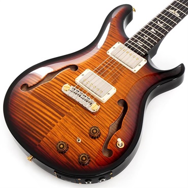 P.R.S. Hollowbody II Piezo 10 Top (Custom Color) SN.0392819 【2024年生産品】