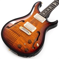 Hollowbody II Piezo 10 Top (Custom Color) SN.0392819 【2024年生産品】