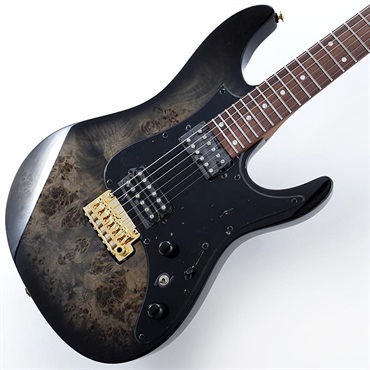 エンパシー　アパシー　ヘアラインブラック Ibanez Premium AZ41P1PB-TGB (Transparent Gray Burst) ｜イケベ楽器