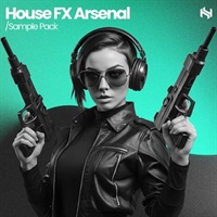 Elements - House FX Arsenal (テックハウス)(ベースハウス)(サンプルパック)(オンライン納品)(2時間以内に納品)