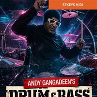 EZX - Drum & Bass (EZX拡張音源)(ブレイクビーツ)(オンライン納品)(2時間以内に納品)