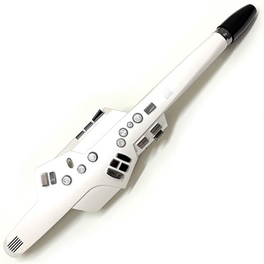 Roland USED 中古 ローランド エアロフォン　Aerophone AE-10
