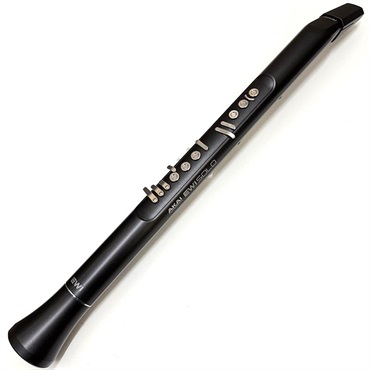 AKAI USED 中古 アカイプロフェッショナル EWI SOLO ウインドシンセサイザー 【初期不良1か月保証】