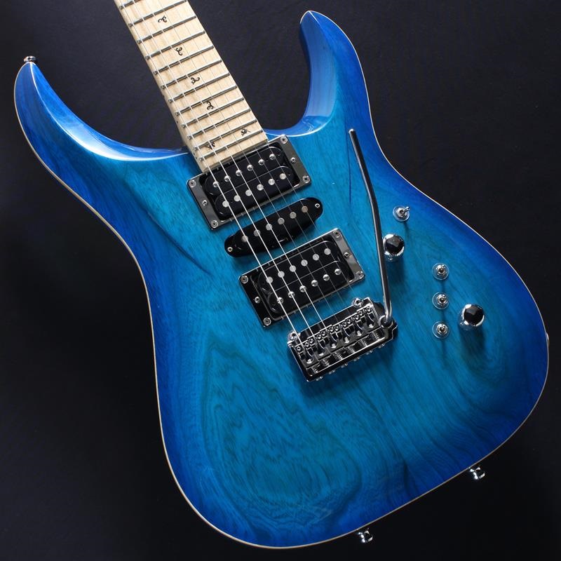 G-Life Guitars LTD 生産初年度美品　GW特化再値下げ！ G-Life Guitars USED 中古 DSG Classic (Royal Blue Turquoise