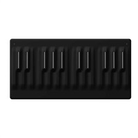【予約商品・6月19日発売予定】Seaboard M (ロリ)(24鍵・MIDIキーボード)(シームレス鍵盤)(バッテリー内蔵)(Bluetooth)(USB-C接続)(国内正規品・2年保証)
