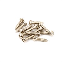 Pure Vintage Tuning Machine Mounting Screws (12本セット) [0011357049]