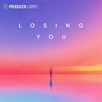 Losing You (ルージング・ユー)(モダンハウス)(コンストラクションキット)(オンライン納品)(2時間以内に納品)