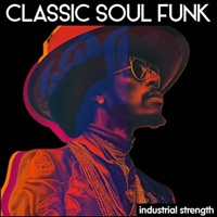 Classic Soul Funk (クラシック・ソウル・ファンク)(サンプルパック)(オンライン納品)(2時間以内に納品)