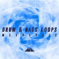 Mesoscale (メゾスケール)(ドラムンベース)(サンプルパック)(DRUM'N'BASS)(オンライン納品)(2時間以内に納品)