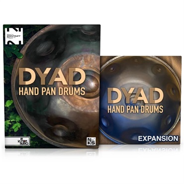 IN SESSION AUDIO Dyad: Hand Pan Drums & Expansion (ハンドパン)(ダイアド)(ソフト音源)(オンライン納品)(2時間以内に納品)