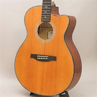 USED 中古 A50E Angelus ポールリードスミス