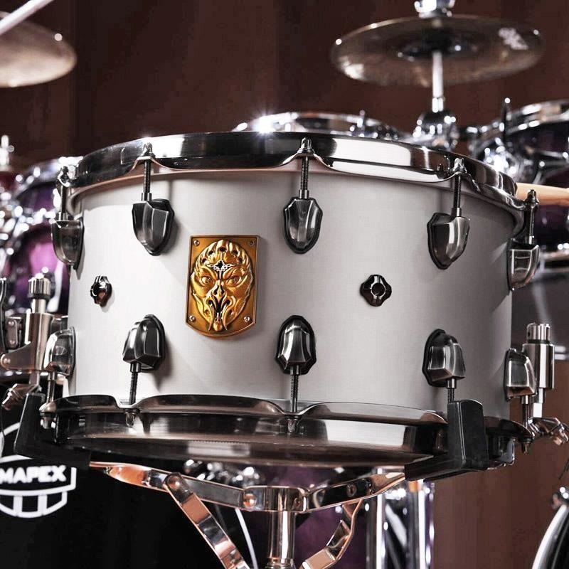 ACMP4800LPG [Artist Collection Aquiles Priester PsychOctopus Snare14×8]の商品画像