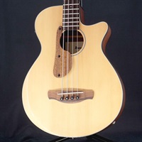 USED 中古 AEGB30E-NTG