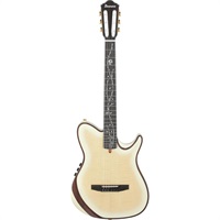 TOD100FMN-TMM【2026年10月末頃順次入荷予定】 アイバニーズ