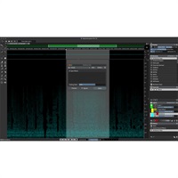 SpectraLayers Pro 13 Competitive Crossgrade (クロスグレード版)(スペクトラレイヤーズ)(スタインバーグ)(オーディオ編集)(オーディオ摘出)(オンライン納品)(2時間以内に納品)