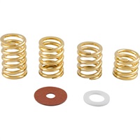 Bigsby Spring and Washer Pack (Gold) [1802774006]