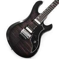 Victory Floyd Rose (Translucent Ebony Burst) 【S/N 207960225】