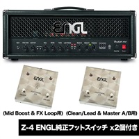 Fireball 100 & Z4専用フットスイッチ（2個）セット