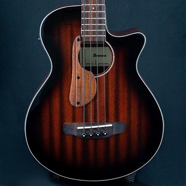 Ibanez USED 中古 AEGB24E-MHS ｜イケベ楽器店オンラインストア