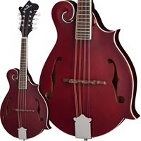 F-5 Studio (Wine Red） エピフォン