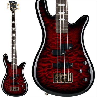 SPECTOR NS ICON Bolt-on 5 (Black Stain Gloss) ｜イケベ楽器店