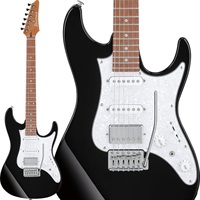 AZ Standard AZ22S2-BK (Black) [SPOT MODEL]