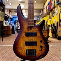 SR500EPB-BBF 【特価】 【IKEBE BASS OUTLET オープン記念セール】