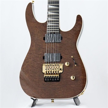 木製彫刻楽器 ダークブラウン Jackson MJ Series Dinky DK FF Burl Mahogany (Dark Mocha/Ebony) 【B