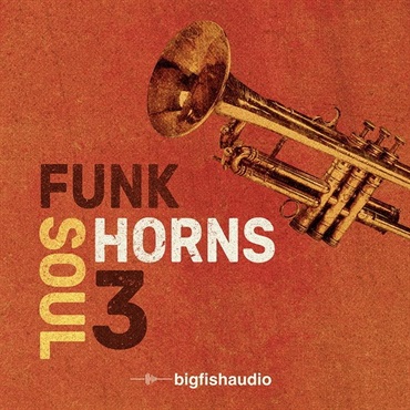 BIG FISH AUDIO Funk Soul Horns 3 (ホーンセクション)(ファンク)(ソウル)(サンプルパック)(オンライン納品)(2時間以内に納品)