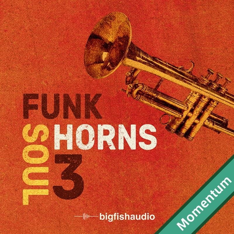 BIG FISH AUDIO Funk Soul Horns 3 MMT (ホーンセクション)(ファンク