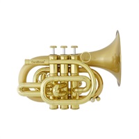 管楽器・吹奏楽器 商品一覧｜イケベ楽器店オンラインストア