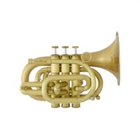 管楽器・吹奏楽器 商品一覧｜イケベ楽器店オンラインストア