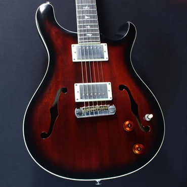 P.R.S. SE Custom 24 (Charcoal Cherry Burst) #CTI H020865【2025年生