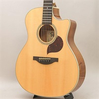 USED 中古 Starsun Guitars F120-GA