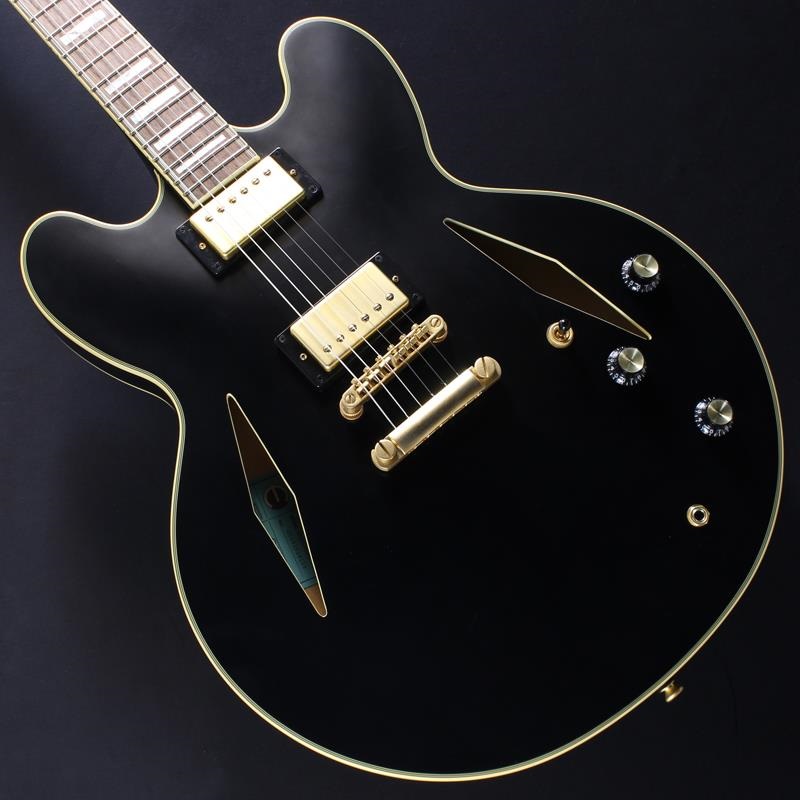 Epiphone USED 中古 Emily Wolfe Sheraton Stealth ｜イケベ楽器店