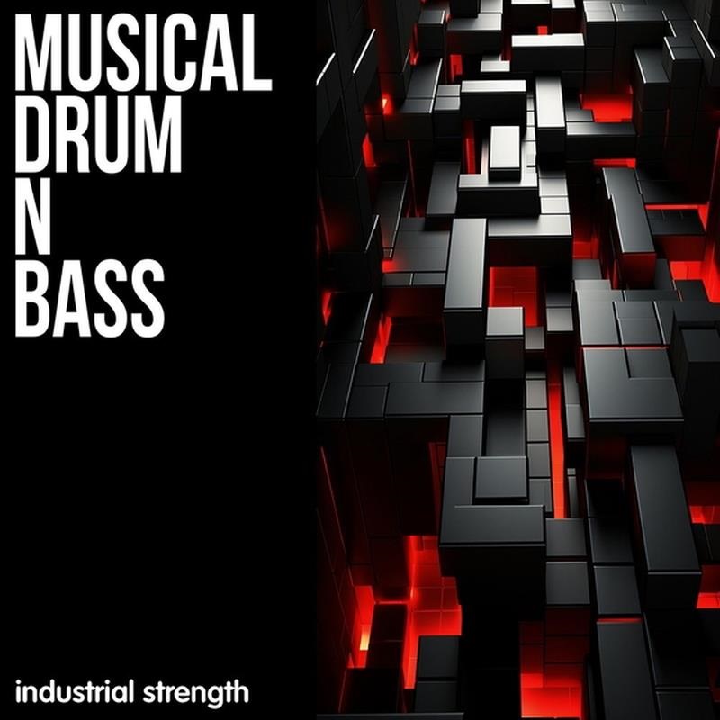 ドラムンベース ④ INDUSTRIAL STRENGTH Musical Drum N Bass (ドラムンベース)(ヒップ
