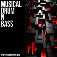 【ループマスターズ2026サマーセール！】Musical Drum N Bass (ドラムンベース)(ヒップホップ)(ブレイクス)(サンプルパック)(オンライン納品)(2時間以内に納品)