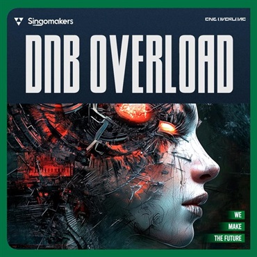 SINGOMAKERS DnB Overload (ドラムンベース)(サンプラーパッチ)(シンセプリセット)(Serum2)(オンライン納品)(2時間以内に納品)