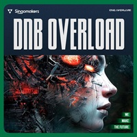 DnB Overload (ドラムンベース)(サンプラーパッチ)(シンセプリセット)(Serum2)(オンライン納品)(2時間以内に納品)
