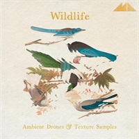 Wildlife (フィールドレコーディング)(ドローン)(アンビエントサウンド)(サンプルパック)(オンライン納品)(2時間以内に納品)