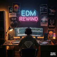 Raw Gemz - EDM Rewind Vol.1 for Serum 2 (Serum2プリセット)(EDM)(プログレッシブハウス)(オンライン納品)(2時間以内に納品)