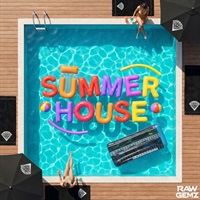 Raw Gemz - Summer House Vol.1 for Serum 2 (Serum2プリセット)(ディープハウス)(ダンスポップ)(プログレッシブハウス)(オンライン納品)(2時間以内に納品)