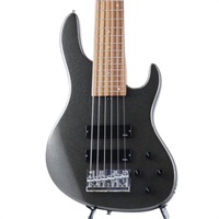 MetroExpress 24-Fret Modern Bass 6st (SLM/MR)