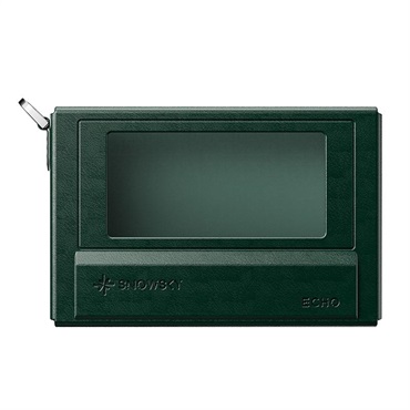 FiiO NEST-ECHO Green (グリーン)(フィーオ)(専用ケース)(Snowsky ECHO