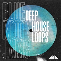 Blue Moon Jams (ディープハウス)(ドラムビート)(サブベース)(ボーカルリック)(オンライン納品)(2時間以内に納品)
