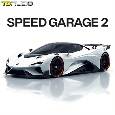 INDUSTRIAL STRENGTH TD Audio - Speed Garage 2 (スピードガラージ)(ベースハウス)(サンプルパック)(オンライン納品)(2時間以内に納品)