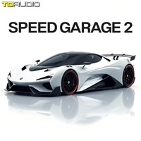 TD Audio - Speed Garage 2 (スピードガラージ)(ベースハウス)(サンプルパック)(オンライン納品)(2時間以内に納品)